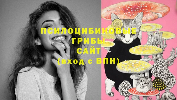стафф Магас