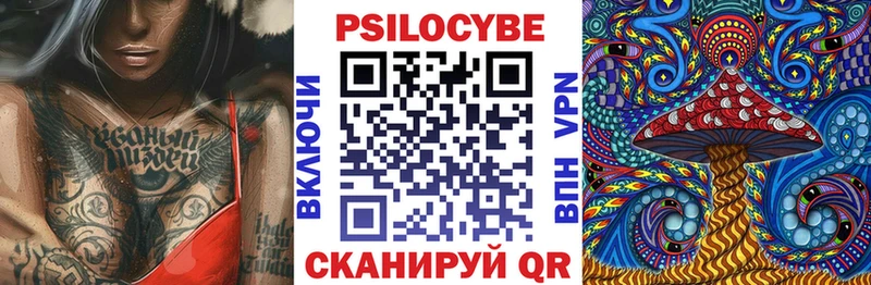 Купить где  Болохово  Галлюциногенные грибы MAGIC MUSHROOMS 